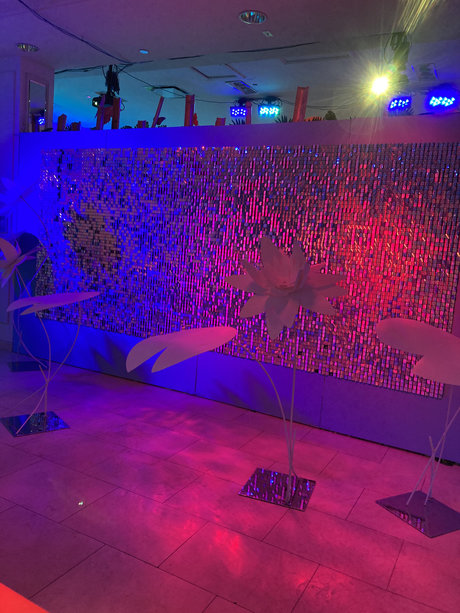 Sophia Banks star sex pics