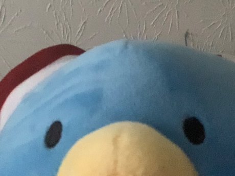 Micah he him_ beautiful pornstar image