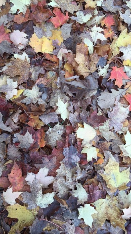 Mae Lyne_ xxx model images