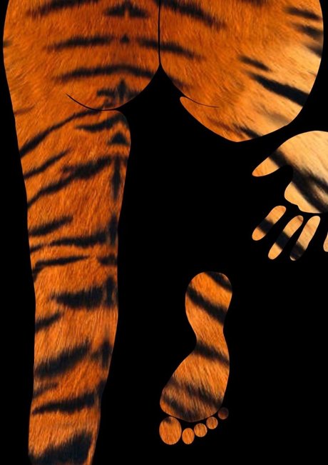 big dick shemale onlyfans beautiful porn image