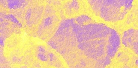 Emmy D pornstar xxx pics