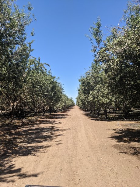 Farmer Adam xxx star photo