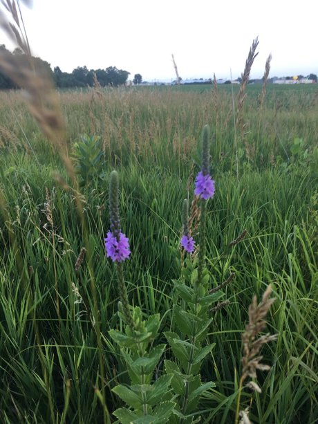 Narina high quality actress image