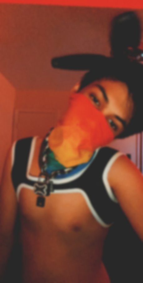 Robin Wonder actress pics