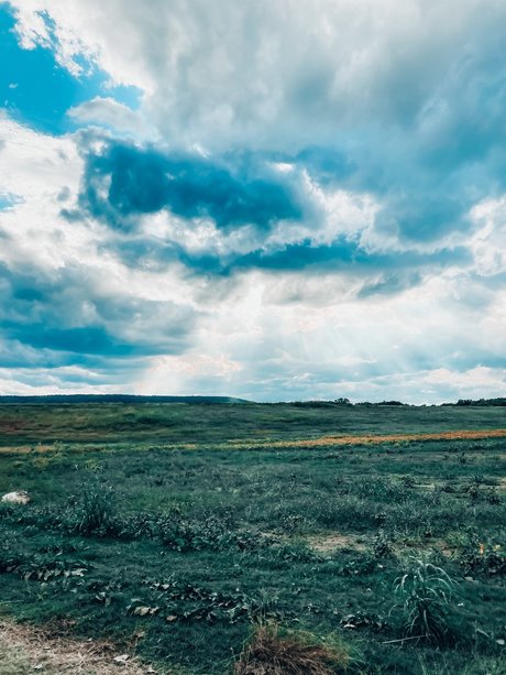 Denim Blondie star hot photo