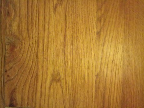 Dirty Dann nice model pic