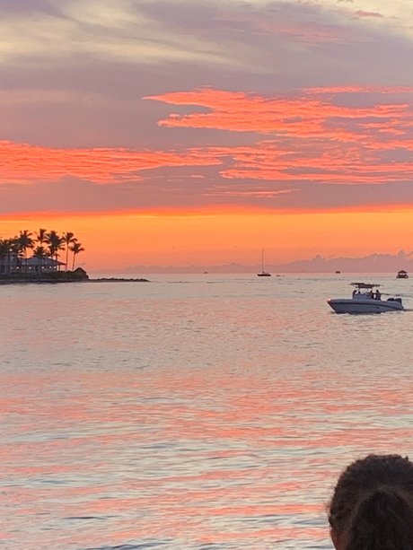 Nathan Barrett free actress gallery