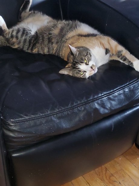 Funkeecold xxx actress image