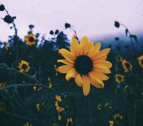 A FreeWoman Ashley Duralia nude model archive