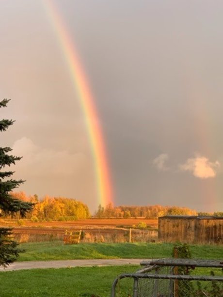 Chloena Starchild art actress photos