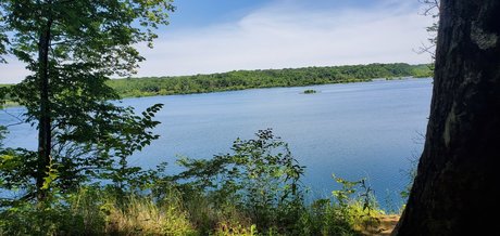 Michael B art actress pictures