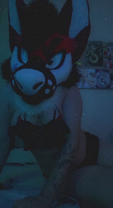 Crazy Creations star perfect pictures