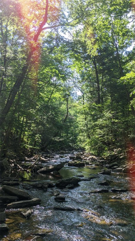 Wolf boy sex star gallery