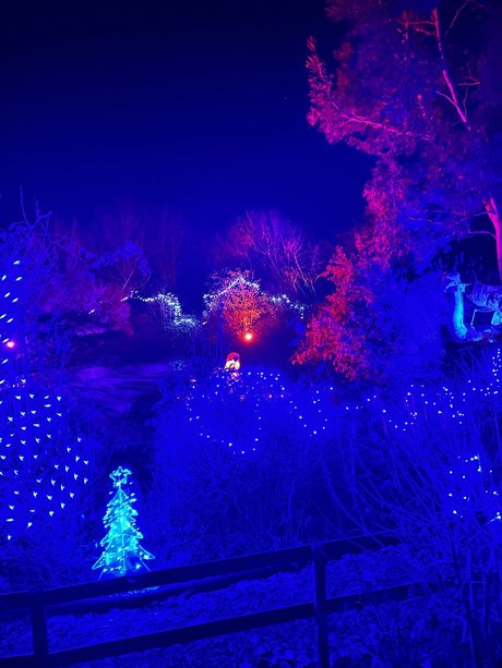 victoria preece pornographic model pic