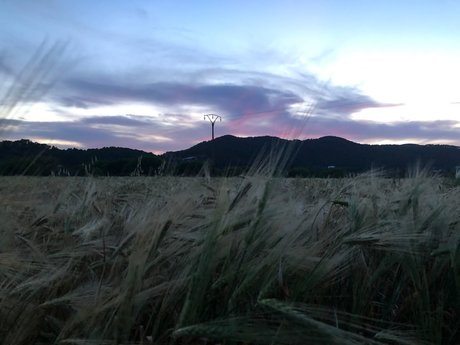 PrincessXX pornstar best pics