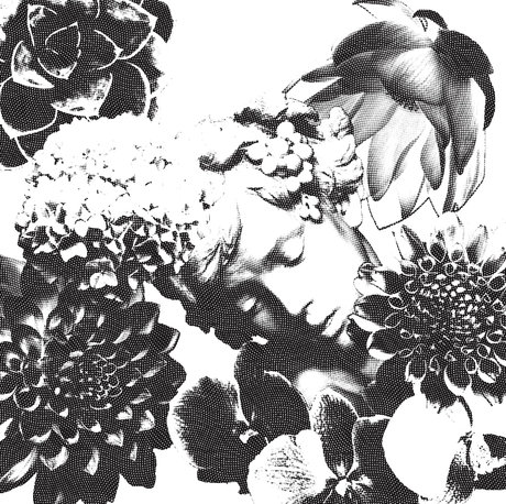 bbc blowjob onlyfans exclusive picture