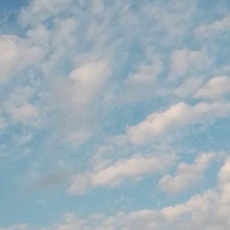 Nerina pornstar nude pictures