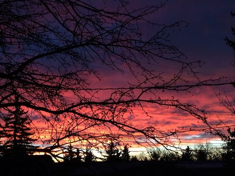 Alice s Wonderland_ model naked pictures