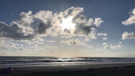 Hentai Grey pornstar nude archive