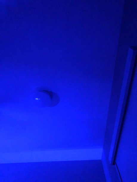 big ass lingerie onlyfans free sex pics