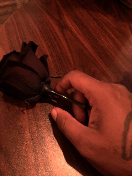 Nicknows xxx pornstar picture