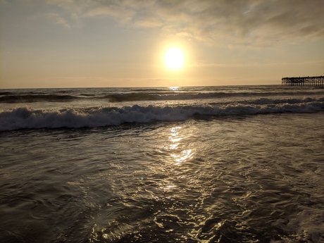 AZ DILF Nextdoor xxx pornstar archive