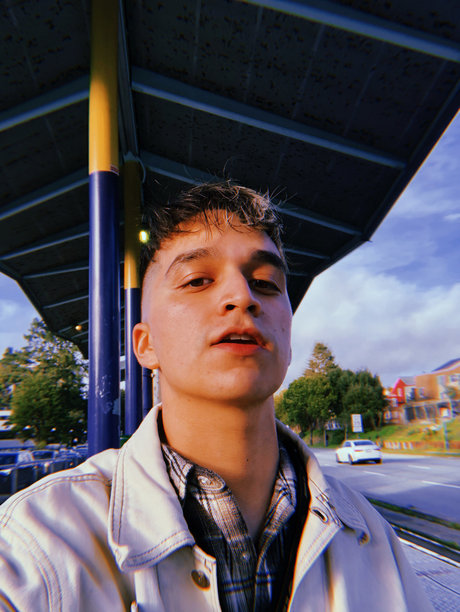 Scratch the Pup model adult img