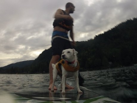 Auston O lapas pornographic star picture