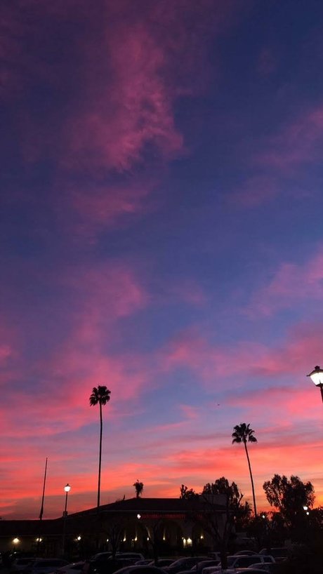 Austin Growney model xxx gallery