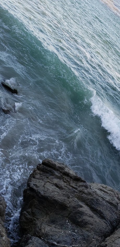 dadddy star free galleries