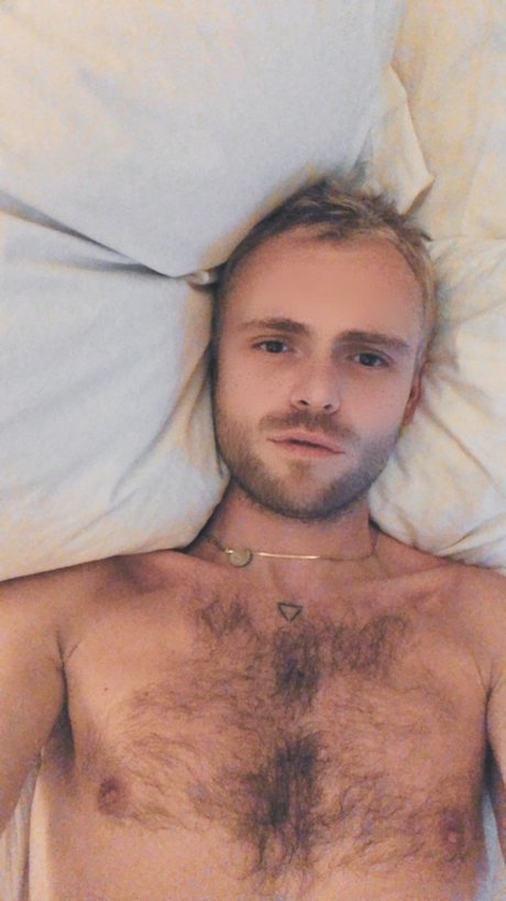 virgobby star adult image