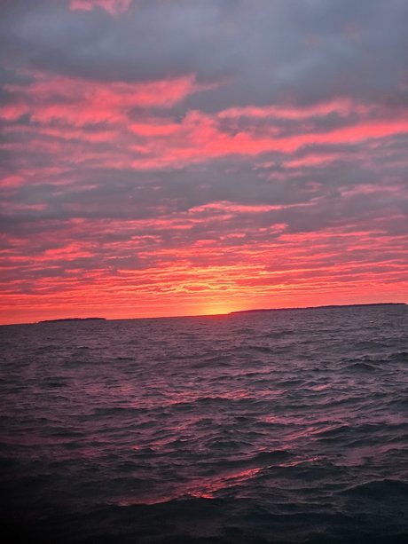 _Noah star nudes img