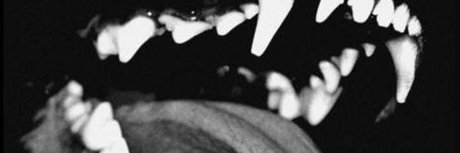 Diabloodon pornstar images