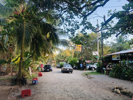 Niklaus perfect pornstar pics