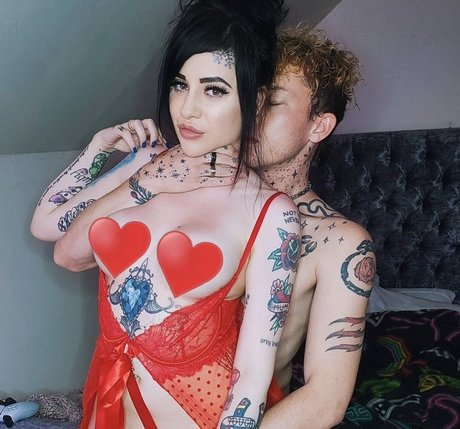 Vivalaholli star top image