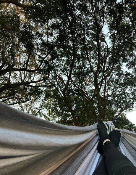 dezzydoefree nudes star picture