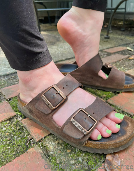 dezzydoefree art star pictures