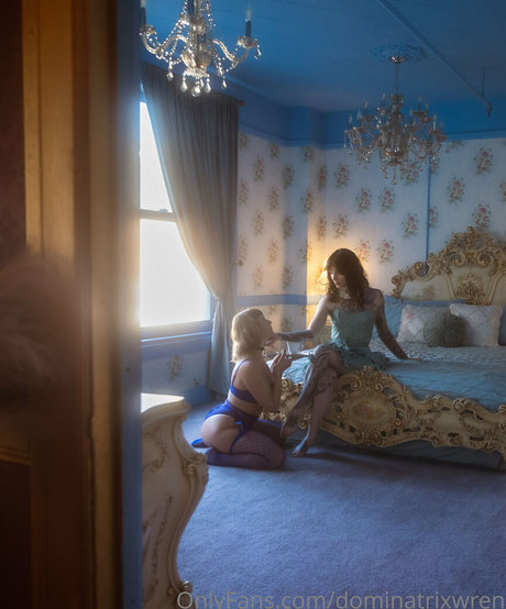 thewickedwren nice star galleries