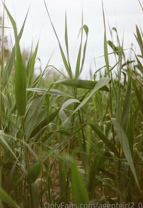 ebony squirt onlyfans sexy pic