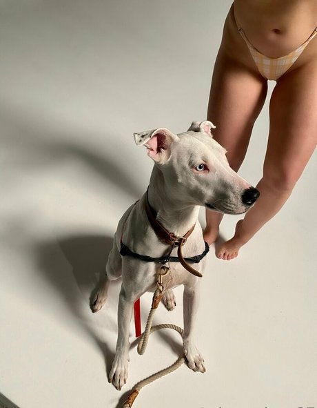 cherrydtv beautiful star images