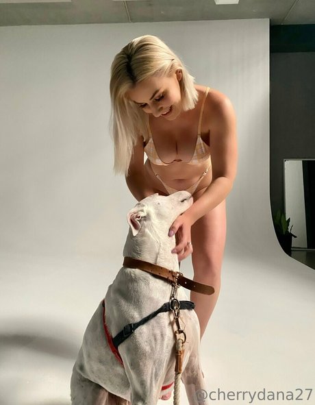 cherrydtv adult actress pic