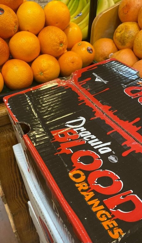 kellynakatomi star nudes img