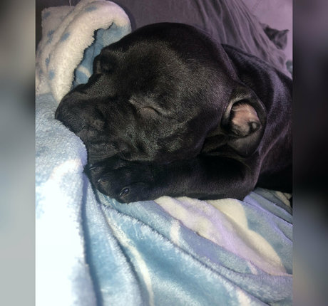 fart onlyfans free sexy picture