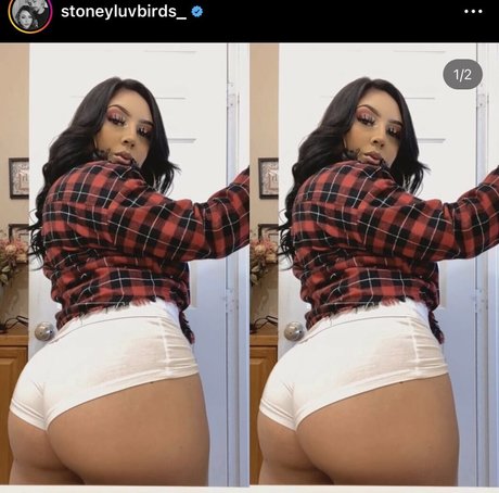 Bakedbabeeee pornstar pretty picture