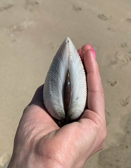 margotdeveraux star erotic picture