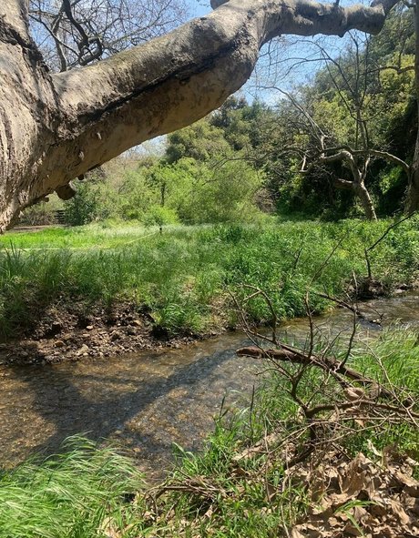 margotdeveraux nudes model pic