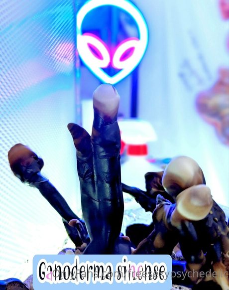 freesexypsychedelic model sexy img