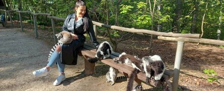 katzmin model porn picture