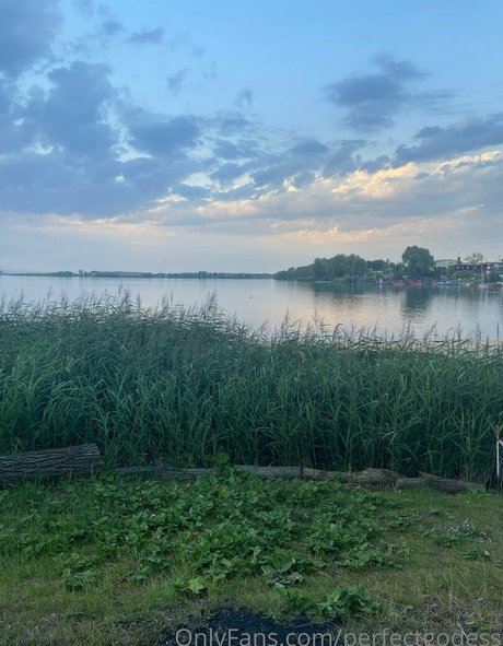 perfectgodess star porn img