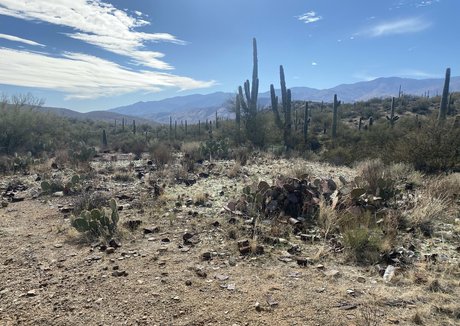 alt girl onlyfans nude photo